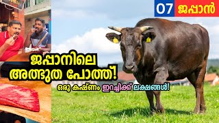 EP07  ജപ്പാനിലെ ലക്ഷങ്ങൾ വിലയുള്ള ബീഫ് 😳 Most expensive meat in the world  Kobe Beef [upl. by Ahsenre]