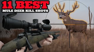 11 Epic Mule Deer Hunts The Best Shots amp Highlights [upl. by Nautna447]