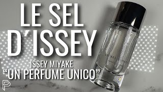 NUEVO 2024 LE SEL DISSEY quotUN PERFUME CASI PERFECTOquot  PP [upl. by Amron]