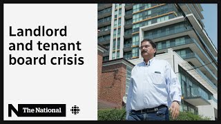 Stuck in Ontario’s landlordtenant board ‘nightmare’ [upl. by Allenad]