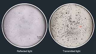 ZJUEarthData Webinar20240904Taryn ScharfPredicting source rock silica [upl. by Baron]