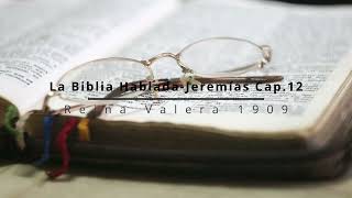 La Biblia Hablada Jeremías Cap 12 [upl. by Sineray]