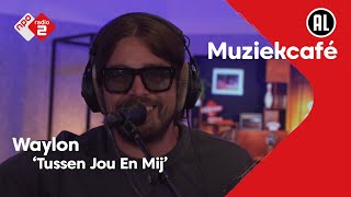 Waylon  Tussen Jou En Mij  NPO Radio 2 [upl. by Leval]