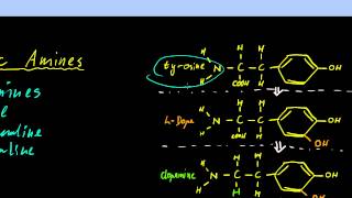 Part 11  Neurotransmitters and Neuromodulators [upl. by Thad]