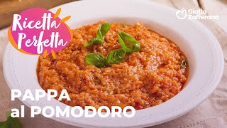 PAPPA al POMODORO GUSTO RUSTICO e RISULTATO IRRESISTIBILE😍🌞✨ [upl. by Clite951]