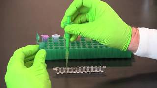 How To Perform A Qualitative ELISA [upl. by Yenaled]