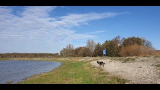 Hondenstrand Lauwersmeer in Lauwersoog [upl. by Alenairam417]