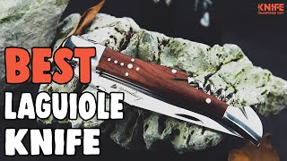 Best Laguiole Knife in 2021 – A Complete Guide to Laguiole Knives [upl. by Nyladgam]