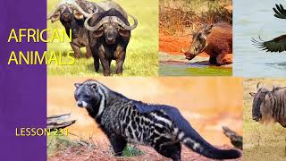 SPEAKING ENGLISH VOCABULARY AFRICAN ANIMALS NAMES HINDI BANGLA TELUGU TAMIL URDU KANNADA MALAYALAM [upl. by Annaor]