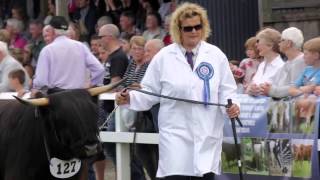 Turriff Show Highlights [upl. by Giefer333]