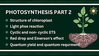 Photosynthesis Part 2 I Life Process I Nutrition In Plants I Biology [upl. by Tteragram43]