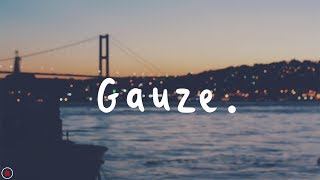 Gleemer  Gauze Lyrics [upl. by Arv292]