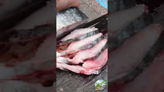 chikna chikna mavra maja ताजी ताजी सुरमई fish kokankar konkan fishcutting kokanvlog [upl. by Marci946]