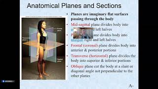 Anatomy amp Physiology LAB Intro [upl. by Tosch]