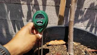 Watering Fruit Trees using a water meter three way meter [upl. by Lenoel]