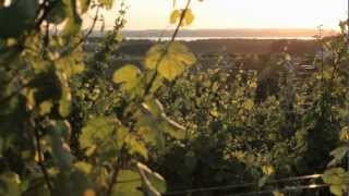 Wineries in Michigan  A Pure Michigan Summer [upl. by Ymas]