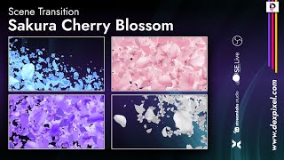 Stream Transition Sakura Cherry Blossom Petals Stinger OBS Studio  Streamlabs [upl. by Meldon971]