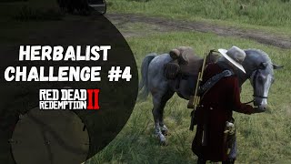 Herbalist Challenge 4 Guide  Red Dead Redemption 2 [upl. by Sukey]