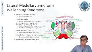 Medulla Lesions [upl. by Nylhtiak764]