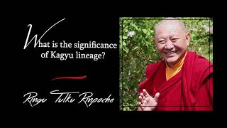 39 What is Kagyu lineage  Answers for Beginners  Ringu Tulku Rinpoche [upl. by Arrec]