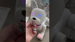 Unboxing Mintid Doge Wowwee Robot Dog [upl. by Greysun]