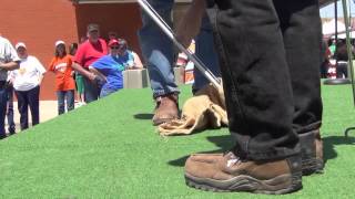 Rattlesnake Sacking Demonstration in Mangum OK 2013 [upl. by Emie408]