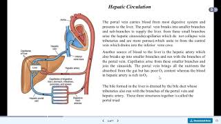 Hepatic Portal Circulation By Mastermind Medical Lectures [upl. by Attenrad]