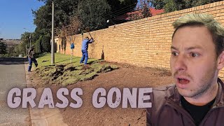 My LAWN is GONE  Kikuyu Grass Removal [upl. by Adnirol604]