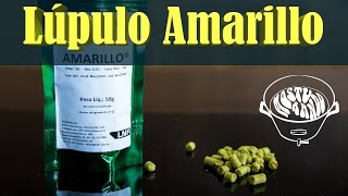 Lúpulo Amarillo — Frutado e cítrico [upl. by Deden]