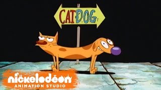 quotCatDogquot Theme Song HQ  Episode Opening Credits  Nick Animation [upl. by Ylellan724]