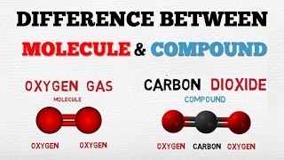 Molecule vs Compound Examples and Practice [upl. by Yasui]