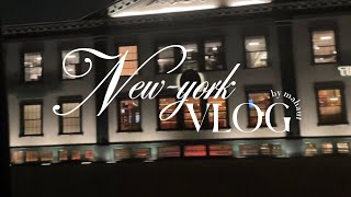 newyork vlog [upl. by Notsrik239]