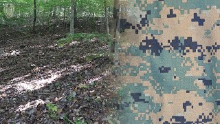 TPP F1 MARPAT Camo Test Early Fall Inner Woods [upl. by Anetta871]