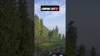 Amazing Camping site views Himachal forests  love himachal  viralvideo shorts shortsfeed [upl. by Nela]