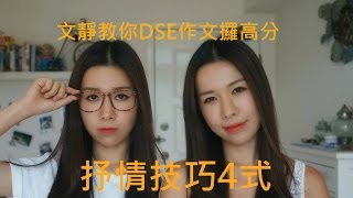 【DSE中文】如何作文攞高分之抒情技巧四式 [upl. by Iddo]