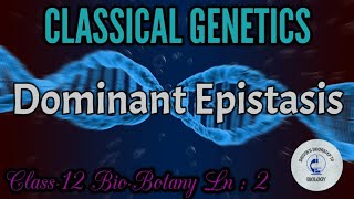 Dominant Epistasis in tamil  Classical Genetics [upl. by Euqnimod]