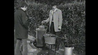 How to make Poitin Poteen Newmarket Co Cork Ireland 1970 [upl. by Anoj]