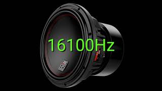 Tone frequency 16100Hz Test your hearing speakersheadphonessubwoofer [upl. by Aizat912]