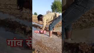 kabutar mare gulel te kadi baaj nhi marte 😛😛ytshorts youtube youtubeshorts haryanivisongs viral [upl. by Ddahc749]