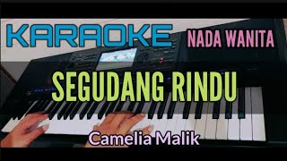 KARAOKE DANGDUT  SEGUDANG RINDU  CAMELIA MALIK [upl. by Fiorenze]