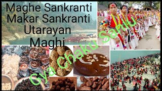 माघे संक्रान्ति  Maghe Sankranti  Makar Sankranti  Uttarayan  Maghi  Ghya Chaku Sanlu [upl. by Kung]