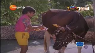 Naan Petradutha Pillai Simbu Gomatha songs TR hits [upl. by Malcom]