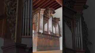 🎹 Órgão 🪨 Felsenkirche 🇩🇪 IdarOberstein [upl. by Ayekam86]