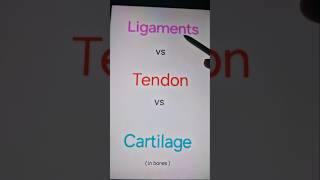 Difference between ligaments tendon and cartilage in bones [upl. by Ahseat]