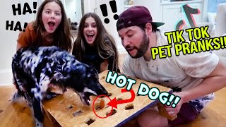 We Try VIRAL TIK TOK PRANKS on our Dogs [upl. by Ulric]