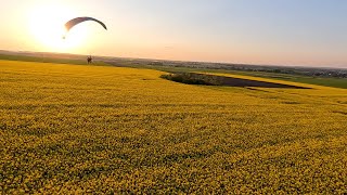 Zażółć moją gęślą jaźń [upl. by Lena]