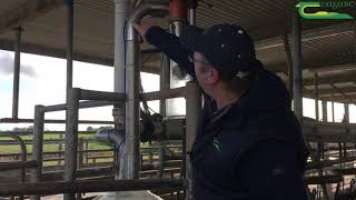 Reducing Thermoduric Bacteria in Milk Part 1 [upl. by Tedda]