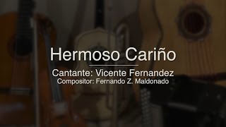 Hermoso Cariño  Puro Mariachi Karaoke  Vicente Fernandez [upl. by Rafaellle]