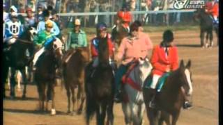 1978 Kentucky Derby  Affirmed vs Alydar [upl. by Geoffry]