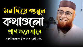 এই উম্মত এক নেকি দিয়ে জান্নাতে যাবে  মুফতী নজরুল ইসলাম কাসেমী হাফি  Najrul Islam Qasemi  waz2024 [upl. by Hock525]